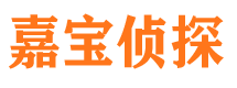 团城山市私家侦探